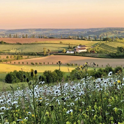 IN EIGEN LAND Eys Limburg CREDIT Brenda Somers